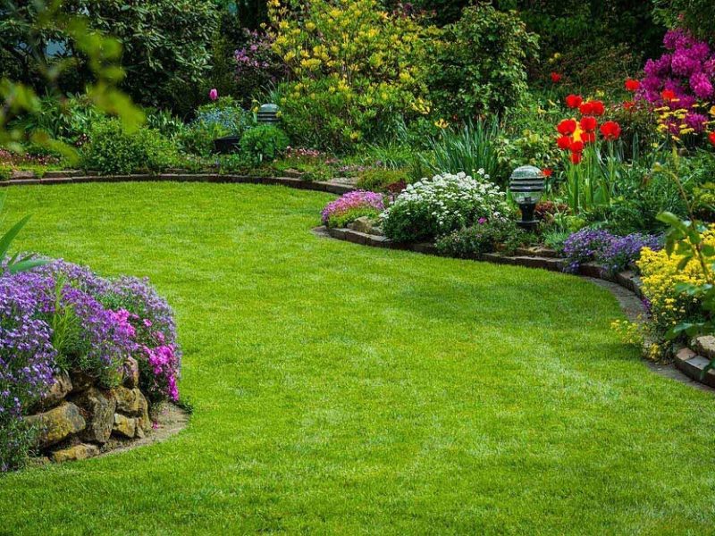 Landscaping Services Landscaping Services