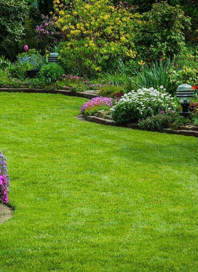 Landscaping Services Landscaping Services